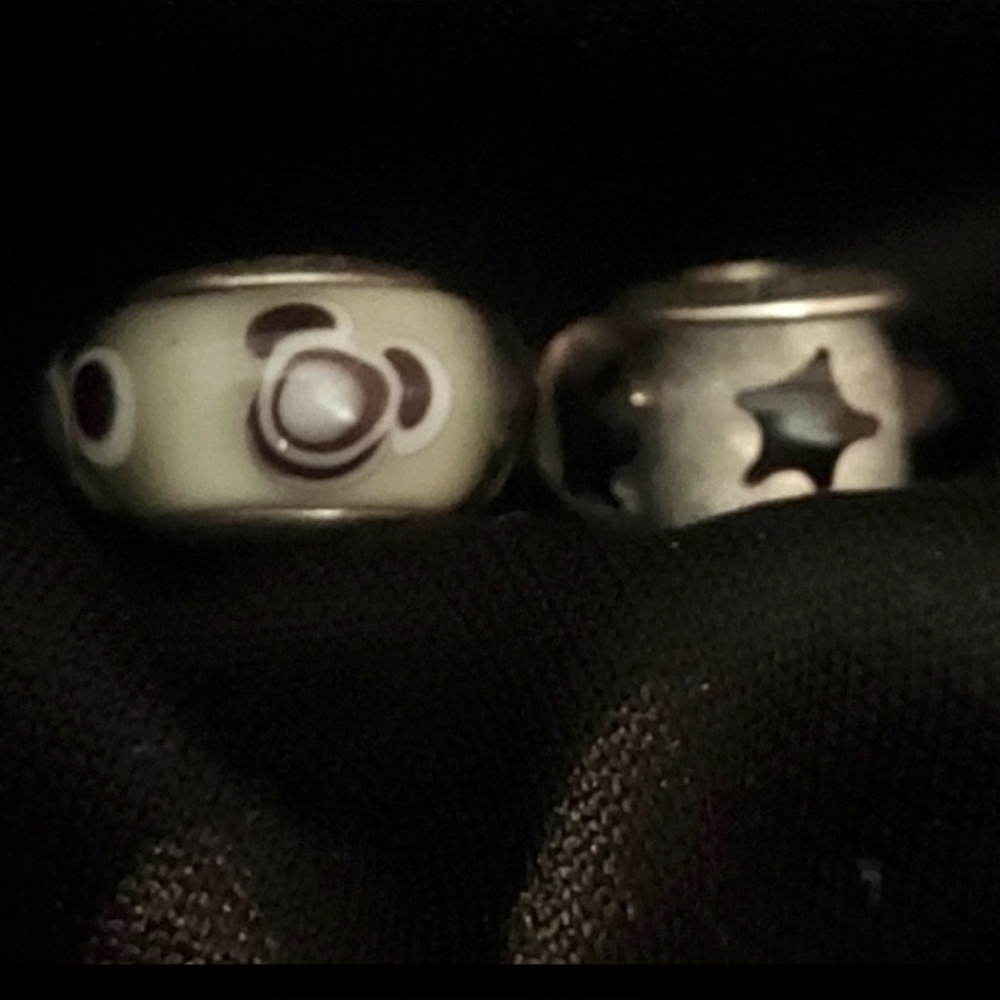 (2) Authentic Pandora Charms